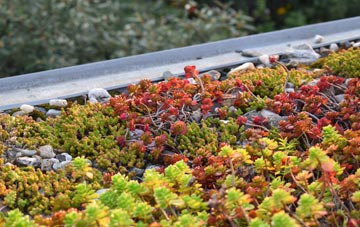 the cost of New Delph green roof installation