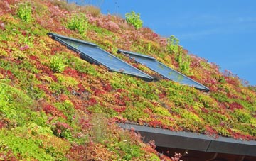 New Delph living roof systems