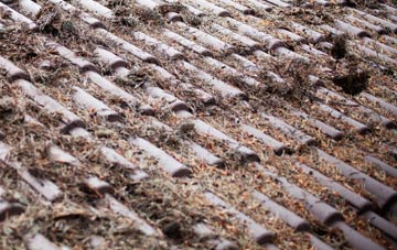 New Delph roof cleaning companies