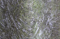 New Delph fibreglass roof work